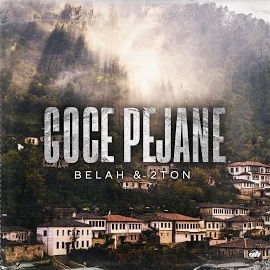 2Ton Goce Pejane