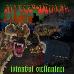 İstanbul Sırtlanları