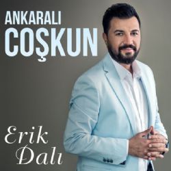 Erik Dalı