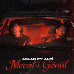 Mecali Gönül