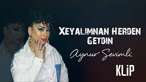 Aynur Sevimli Niye Gelmedi