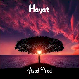 Hayat