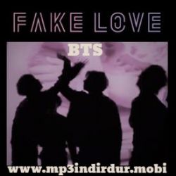 Fake Love