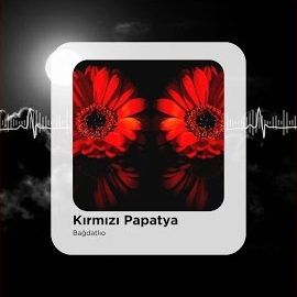 Kırmızı Papatya