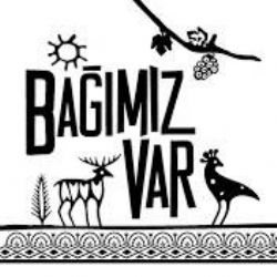 Bağımız Var Aldırma Gönül