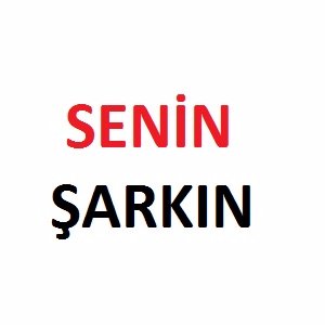 Senin Şarkın