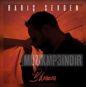 Barış Sevgen Bilmem