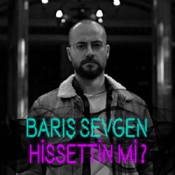 Barış Sevgen Hissettin Mi