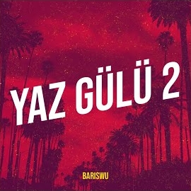 Bariswu Yaz Gülü 2