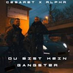 Cesaret Du Bist Kein Gangster