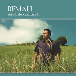 Demali Ağ Gül İle Kırmızı Gül