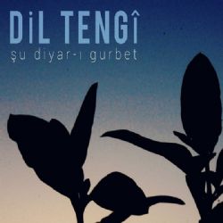 Şu Diyarı Gurbet