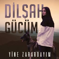 Yine Zarardayım