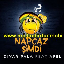 Napcaz Şimdi