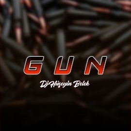 Gun