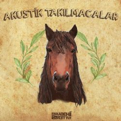 Akustik Takılmacalar