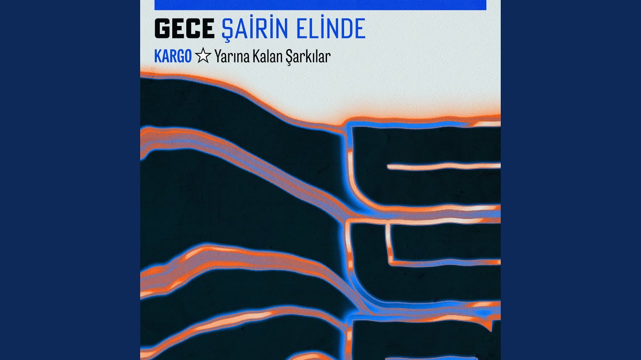 Gece Şairin Elinde