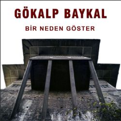 Bir Neden Göster