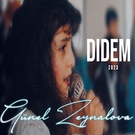 Didem