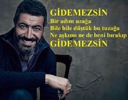 Gidemezsin