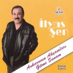 İlyas Şen Ankaranın Akşamları