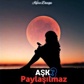 Aşk Paylaşılmaz 3