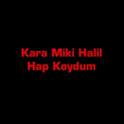 Hap Koydum