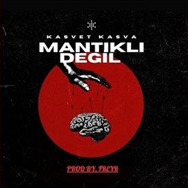 Mantıklı Değil