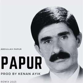 Papur