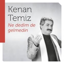 Ne Dedimde Gelmedin