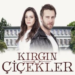 Kırgın Çiçekler Kırgın Çiçekler Dizi Müzikleri