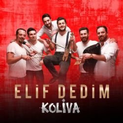 Elif Dedim