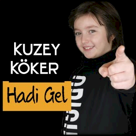 Hadi Gel