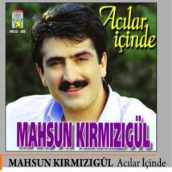 Acılar İçinde