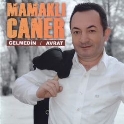 Gelmedin