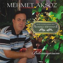 Mehmet Aksöz Bilemiyorum