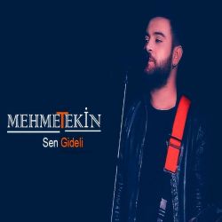 Mehmet Tekin Sen Gideli