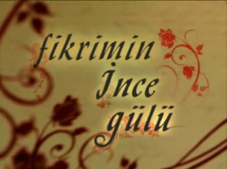 Fikrimin İnce Gülu