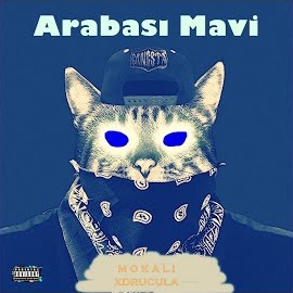 Arabası Mavi