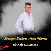 Simsiyah Saçların Neden Ağarmış