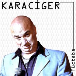 Karaciğer