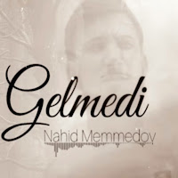 Gelmedi