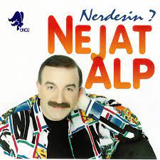 Nerdesin