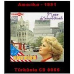 Neşe Karaböcek Amerika