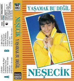 Yaşamak Bu Değil