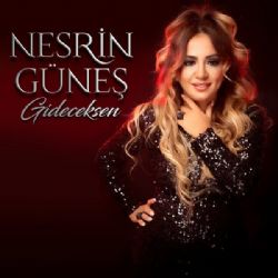 Nesrin Güneş Gideceksen