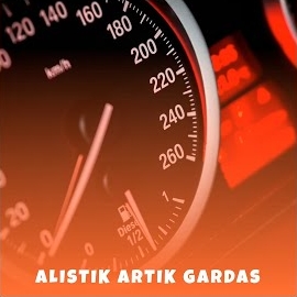 Alıştık Artık Gardaş