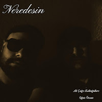 Neredesin