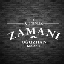 Çılgınlık Zamanı