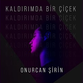 Kaldırımda Bir Çiçek